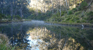 Groundwater & Surface Water