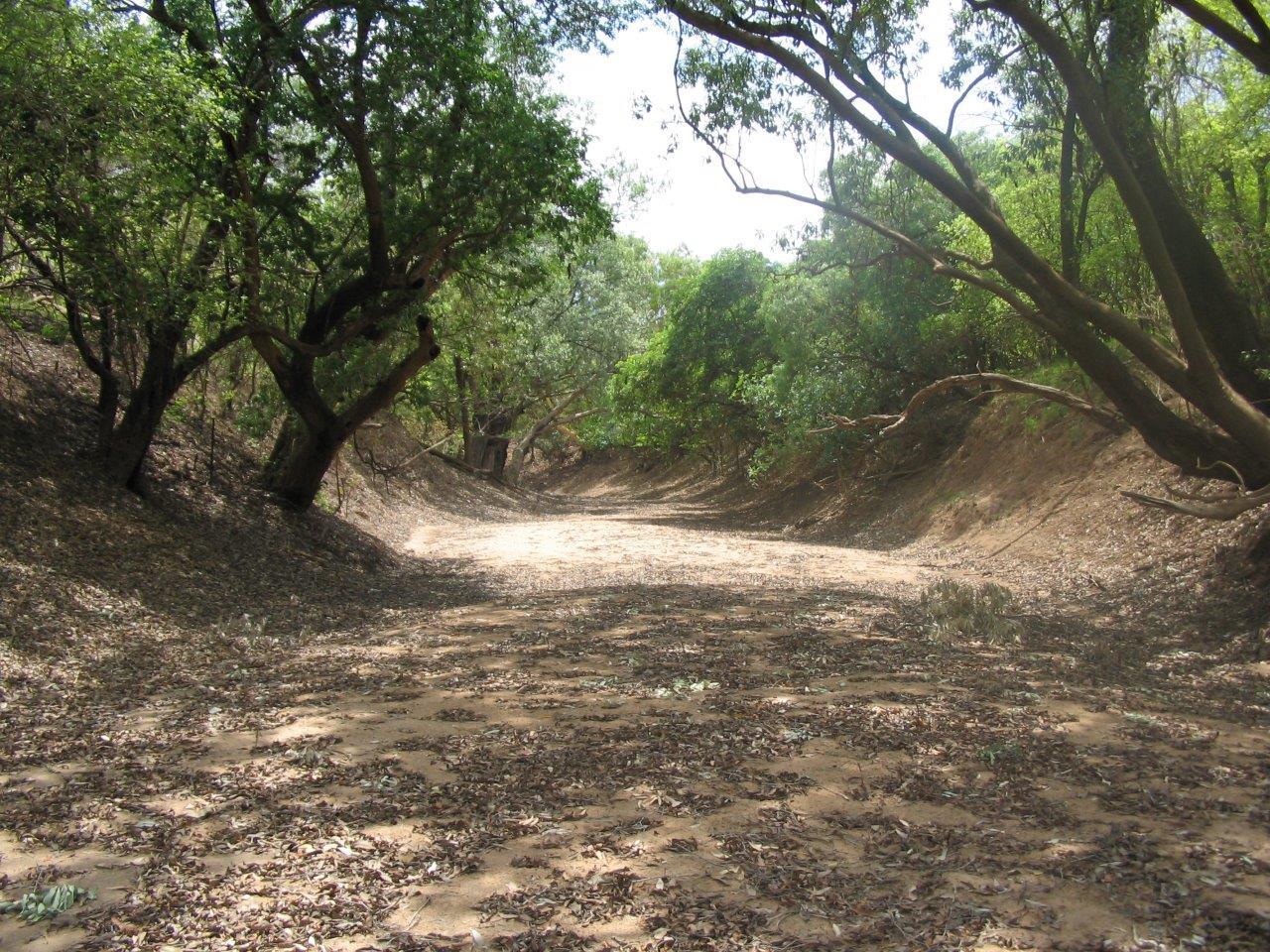 2 Leaf Litter And Other Organic Matter Accumulates In Dry River Beds For Most Of The Year