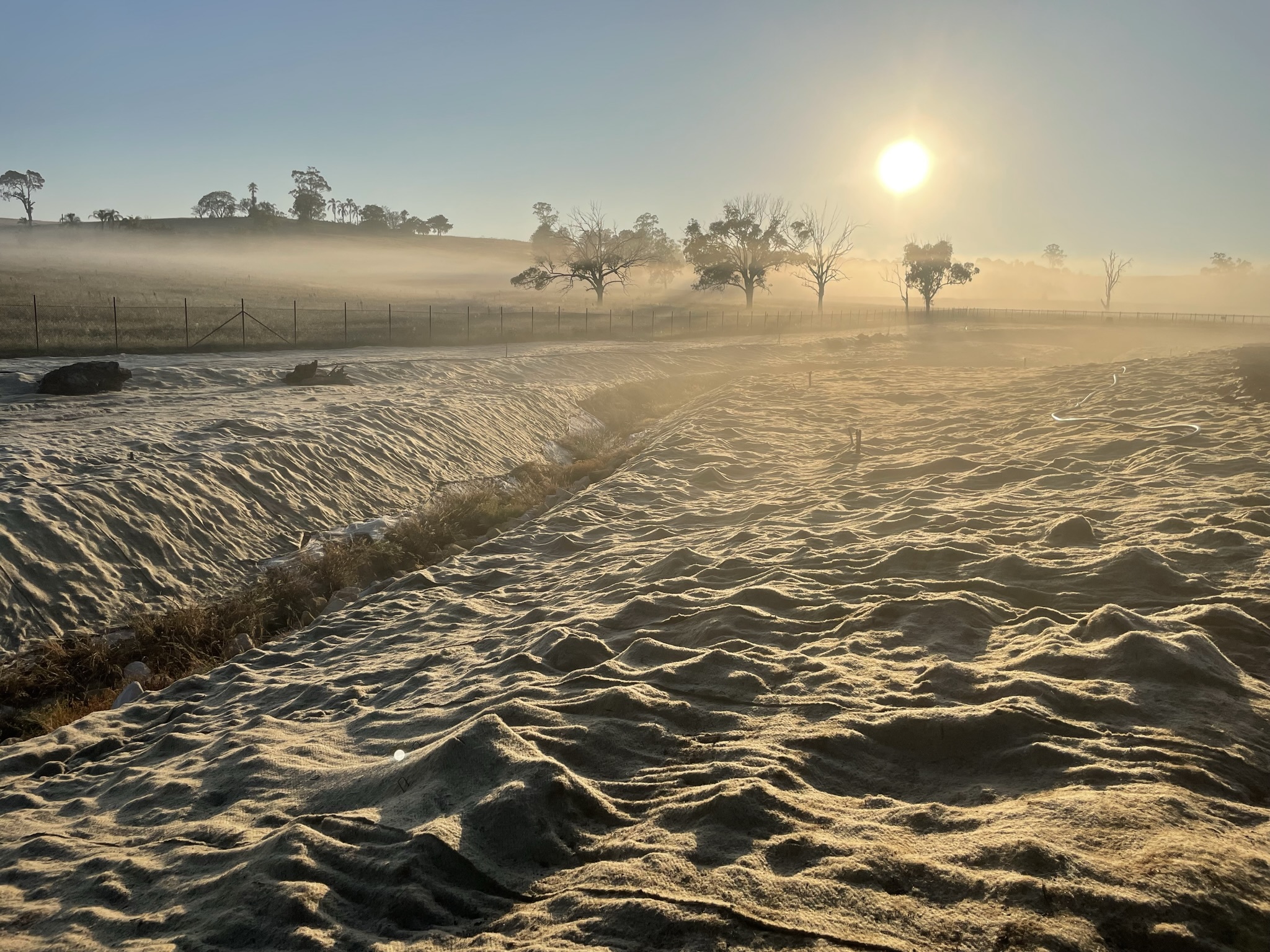Andrew Whitford Sunrise Over Kemps Creek Jute Matting