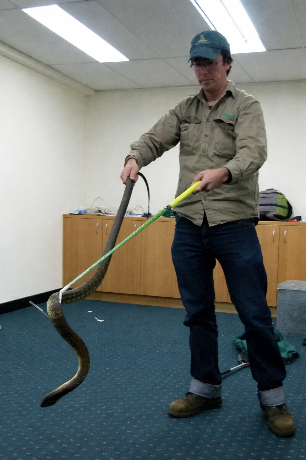 Chat Gpt Image Jan 27 2026 03 24 00 Pm