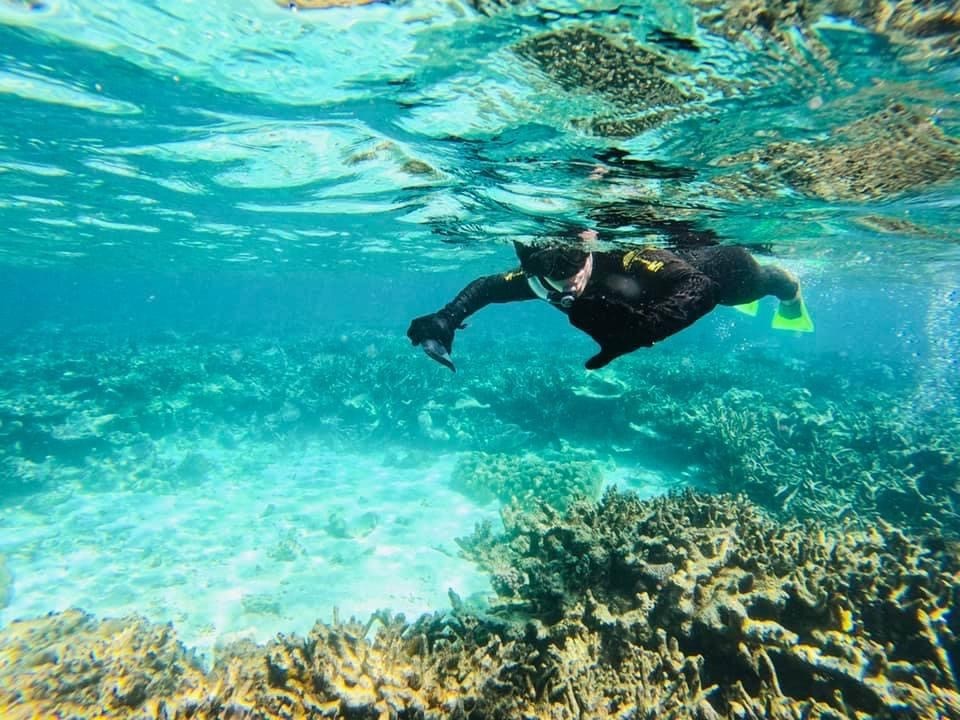 Gbr Underwater