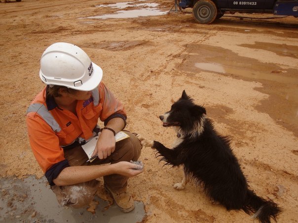 Logging Geology