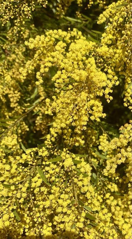 Meet The Expert Sam Evans 1