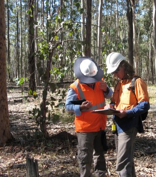 News Nest-boxes-for-Woolgoolga pic1