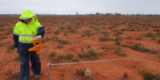 Binduli Goldfields Flora Fauna Survey 500X350Px