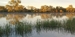 Dam AlistairS SYD01 500x350px