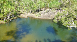 Landscape and field-based riverine vegetation condition assessment in the Namoi Catchment