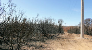 Dumaresq to Lismore Transmission Line Bushfire Risk Assessment
