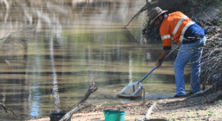 Aquatic and groundwater ecology assessment