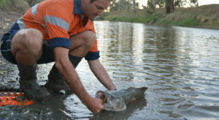 Water and catchment planning, NSW