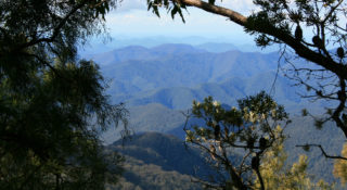Aboriginal Landscape Assessment and Protection