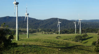 Boco Rock Wind Farm Ecological Assessment