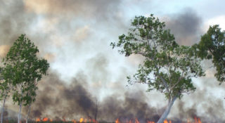 South East Queensland Bushfire Management Plans