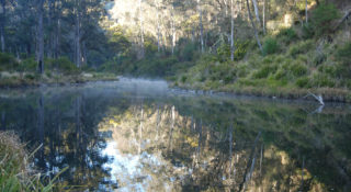 Environmental Flow Assessment, Dunoon Dam