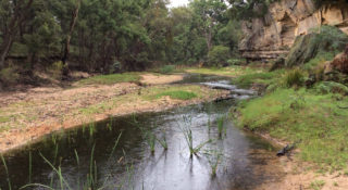 Assessment of Regionally Significant Riparian Corridors across the Sydney Metropolitan catchment