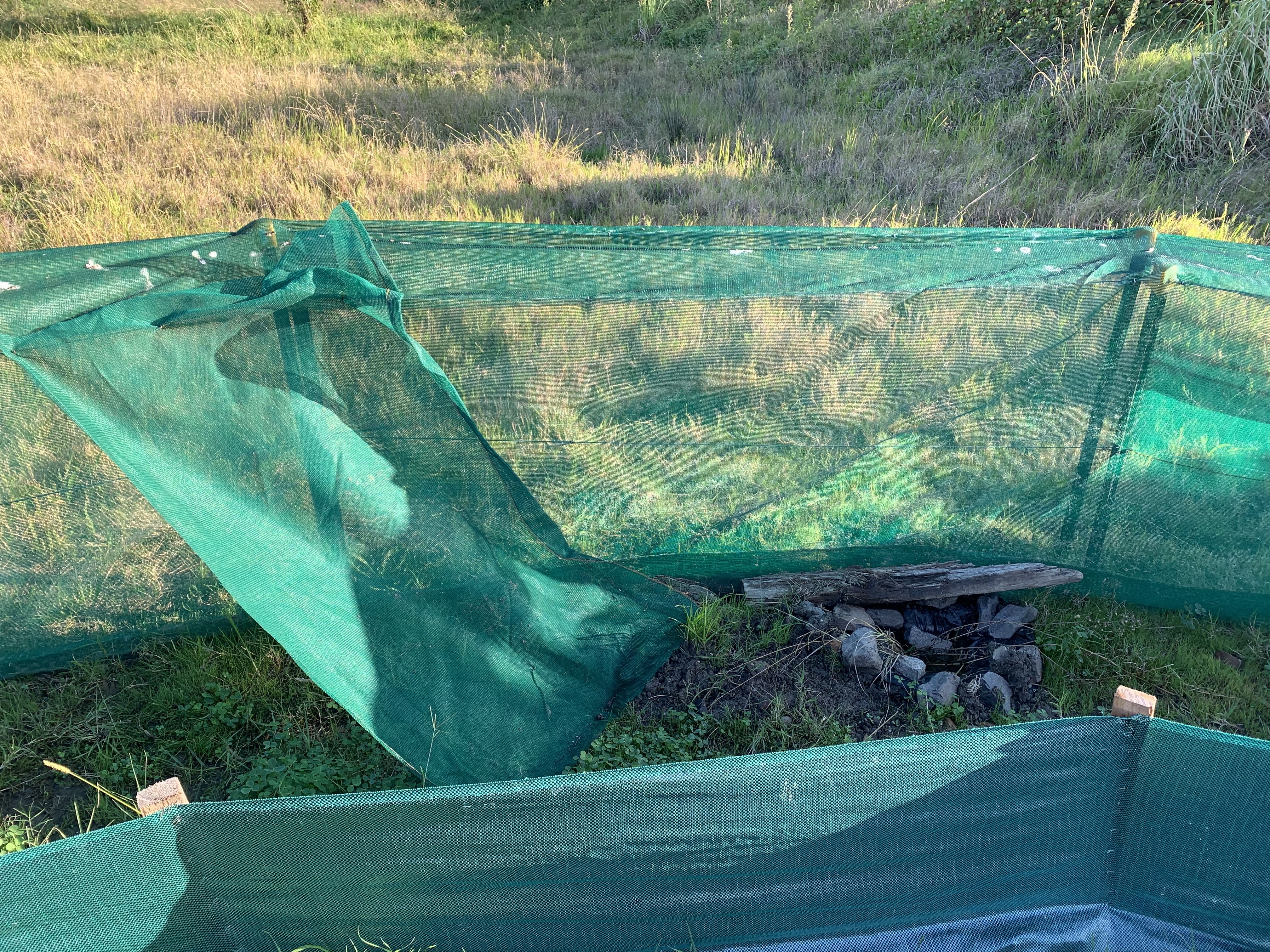 Passive Escape Refuge Pond Inside Fence