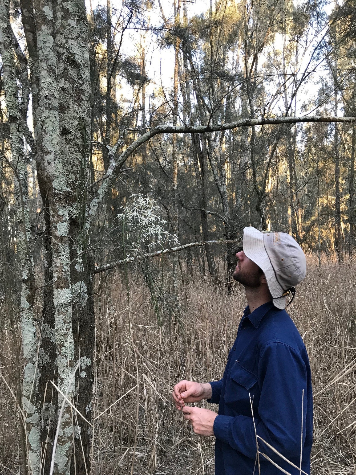 Coastal Wetland Mapping Tom Kelly