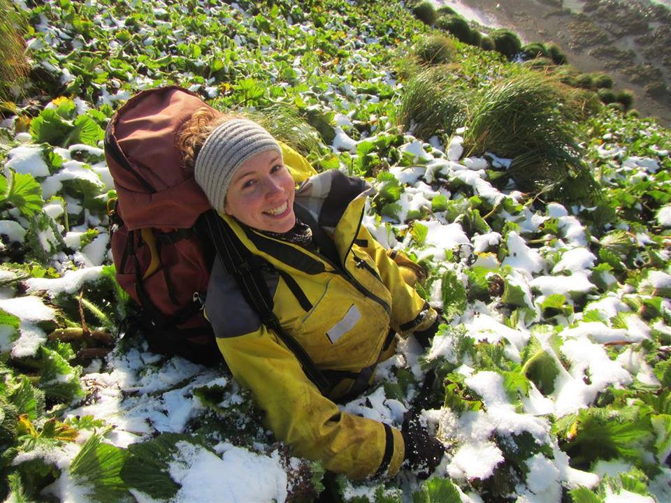 Emily Among Snow Covered Macquarie Island Cabbage1