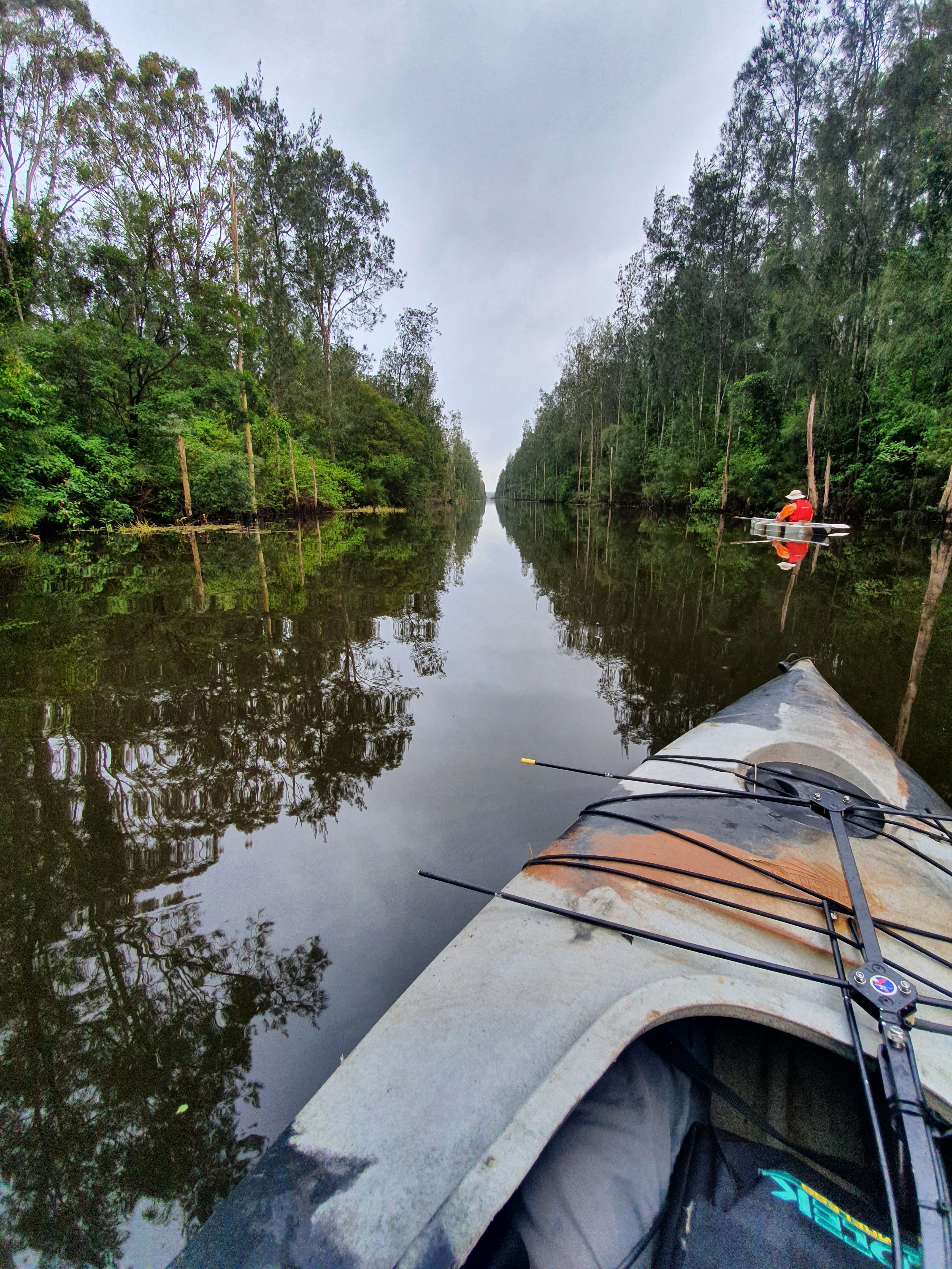 Radio Tracking Threatened Microbats Via Kayak