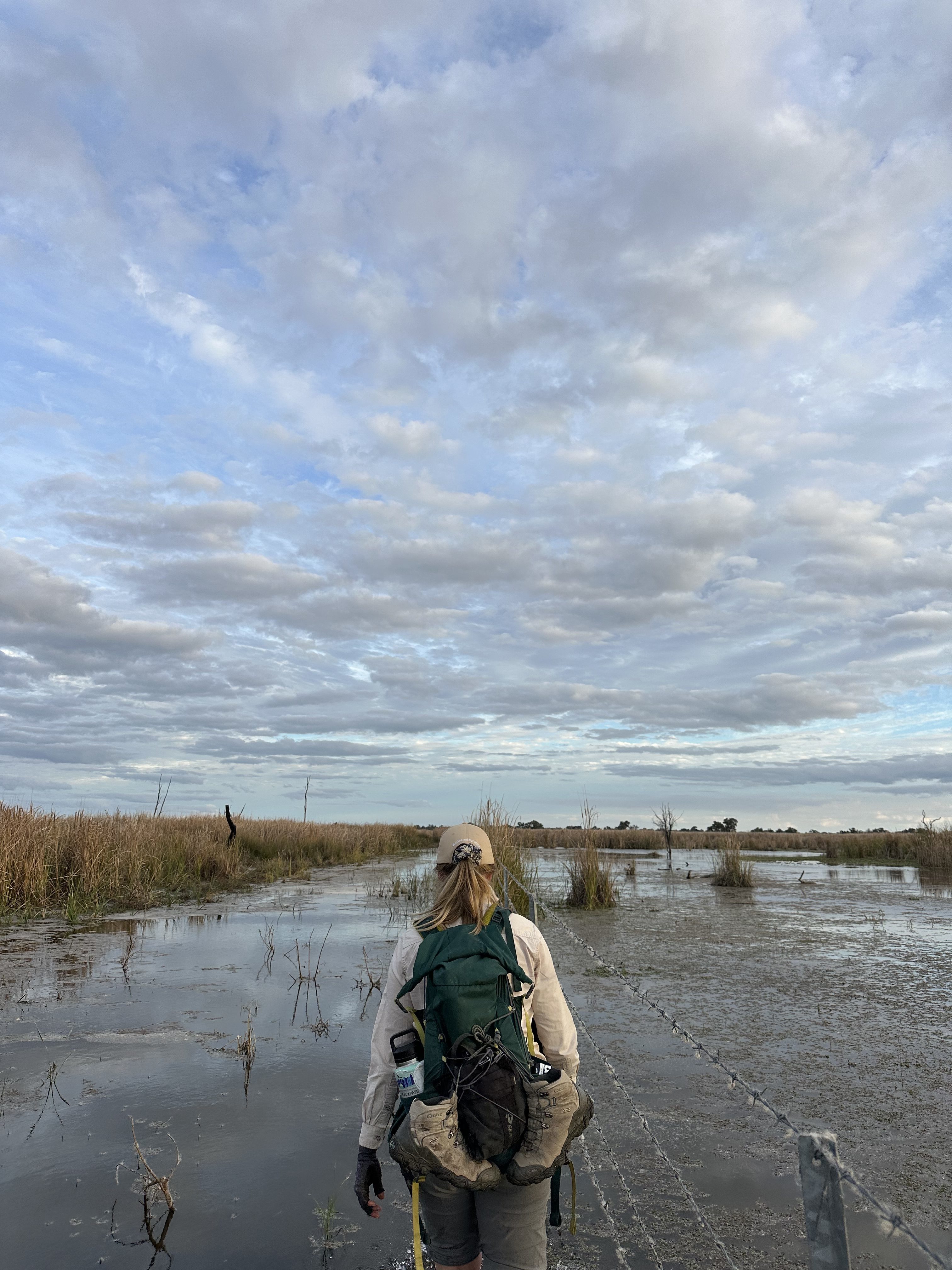 Surveying Riparian Communities In Gwydir Wetlands State Conservation Area