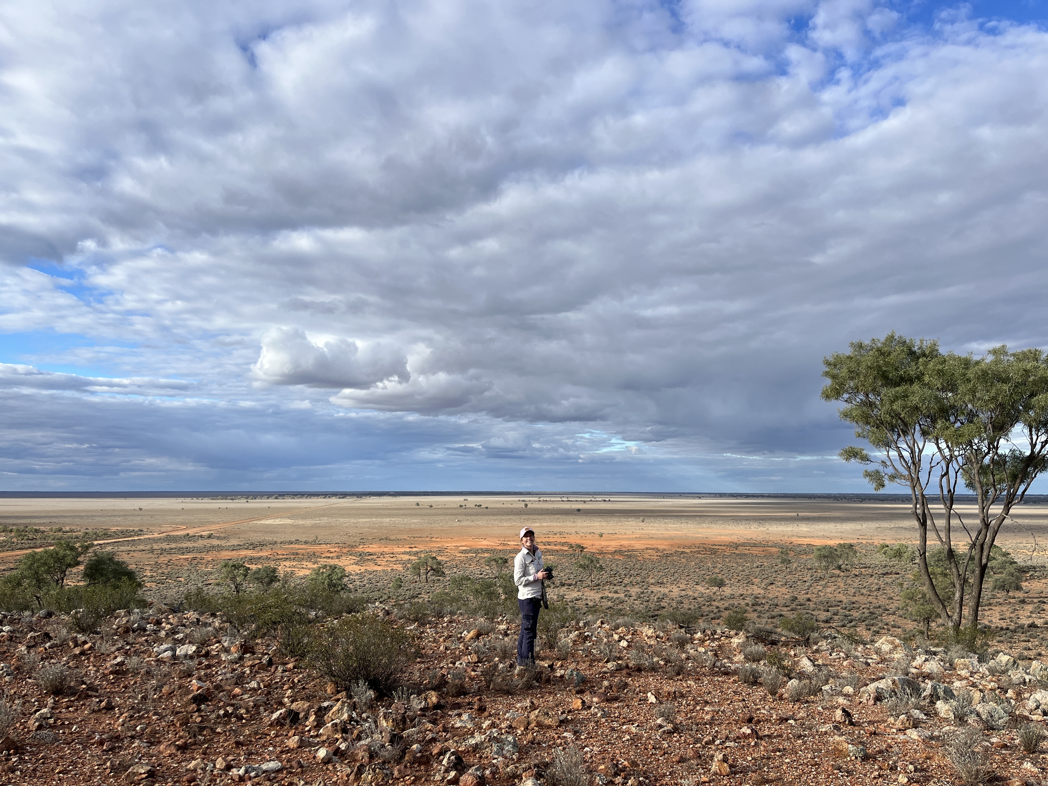 Tree Health Surveys In Toorale National Park