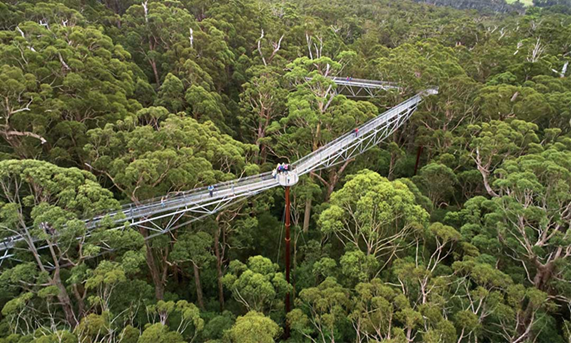 Bushfire Resilience in the Great Southern